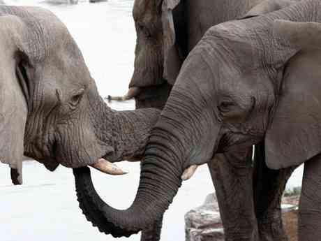 Best of Namibia Adventure